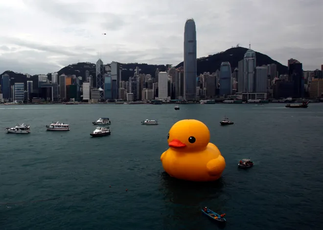 Rubber Duck